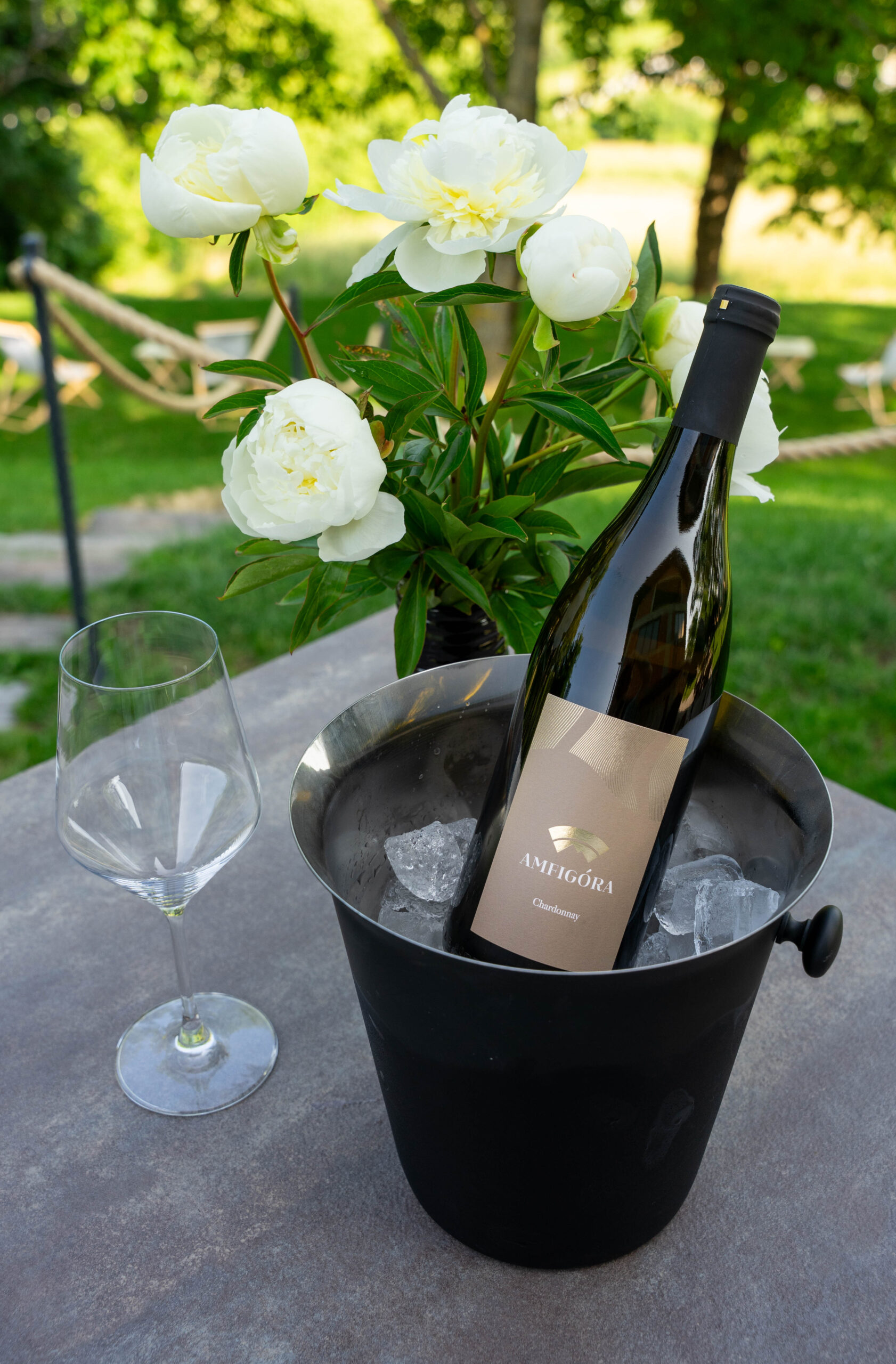 Chardonnay Amfigóra