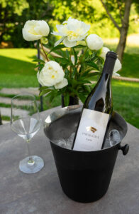 Cuvee Amfigóra