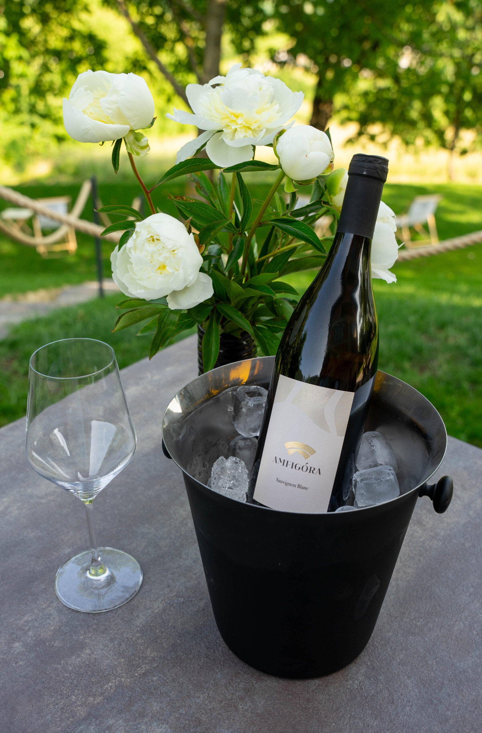 Sauvignon Amfigóra
